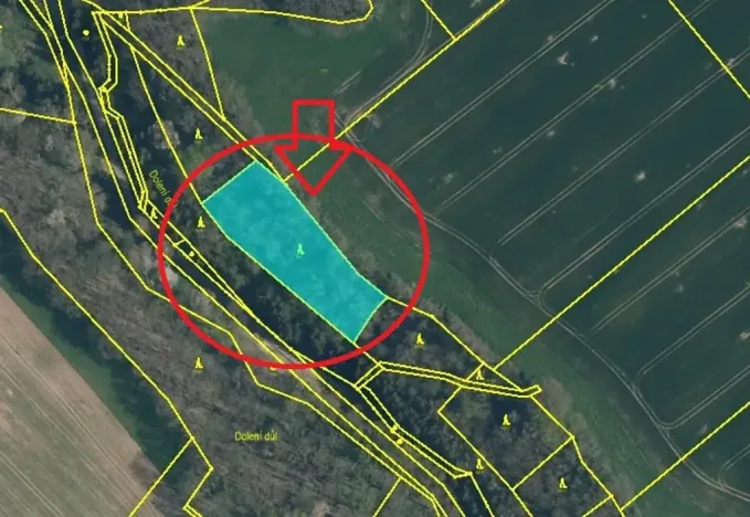 Prodej lesa, Chorušice, 2884 m2