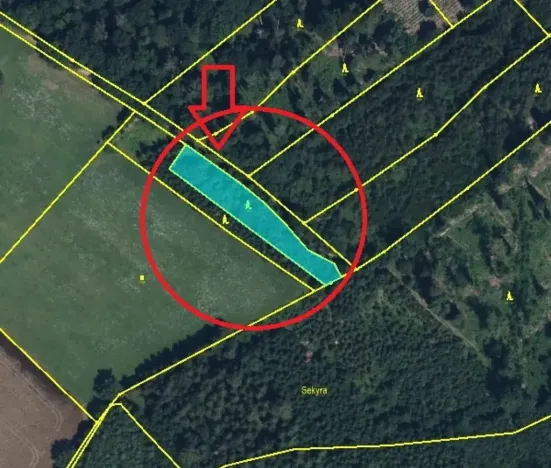 Prodej lesa, Velký Vřešťov, 1545 m2