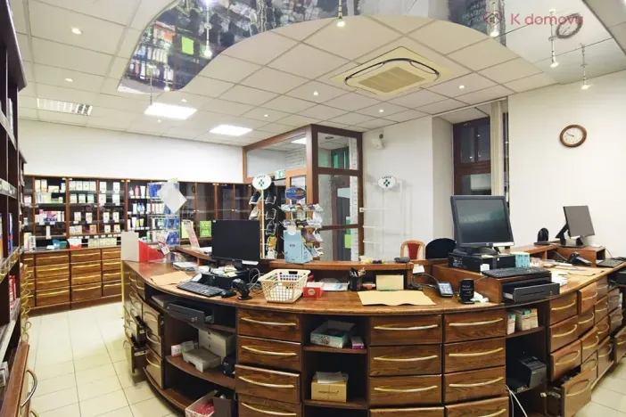 Pronájem obchodního prostoru, Brno, Pekařská, 140 m2