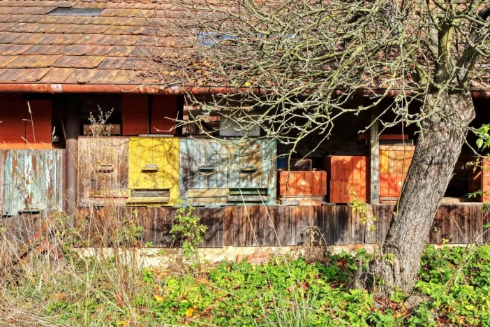 Prodej zemědělské usedlosti, Lipoltice - Sovoluská Lhota, 116 m2