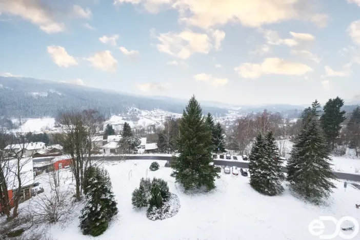 Prodej bytu 2+1, Tanvald, U Lesíka, 57 m2