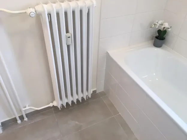 Pronájem bytu 2+1, Ostrava - Hrabůvka, Mitušova, 55 m2