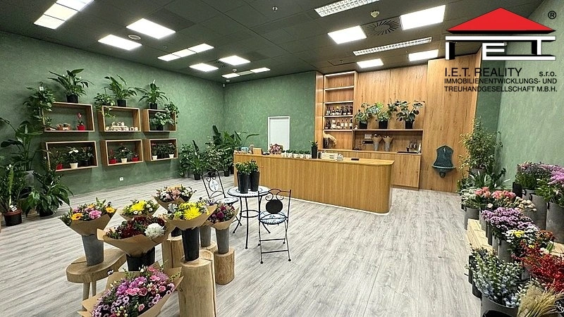 Pronájem obchodního prostoru, Brno, náměstí Svobody, 64 m2