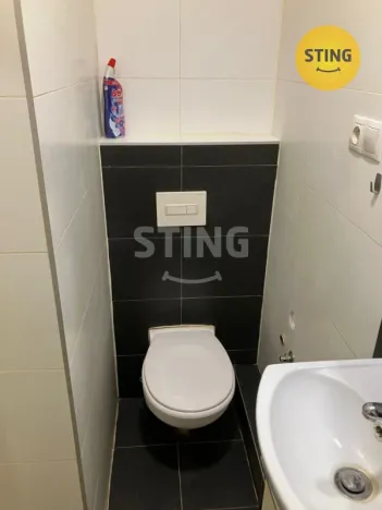 Pronájem bytu 1+kk, Ostrava, Krakovská, 22 m2