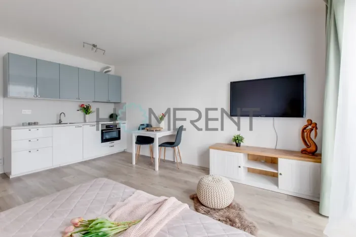 Pronájem bytu 1+kk, Brandýs nad Labem-Stará Boleslav - Stará Boleslav, Josefa Truhláře, 31 m2