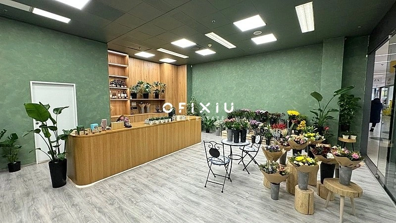 Pronájem obchodního prostoru, Brno, náměstí Svobody, 65 m2