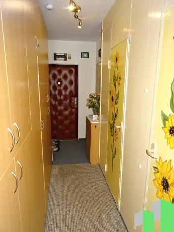 Prodej bytu 1+1, Frýdek-Místek, Třanovského, 34 m2