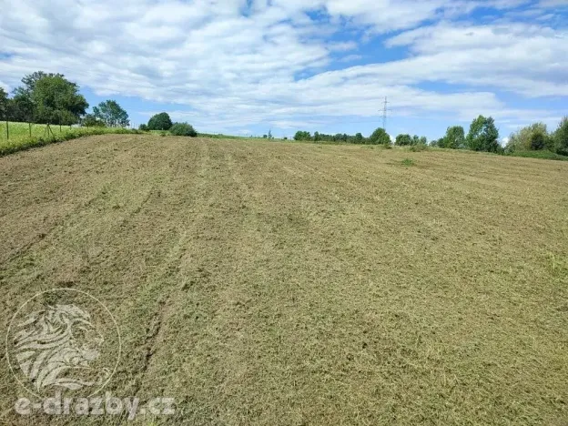 Dražba pozemku pro bydlení, Bruzovice, 11054 m2