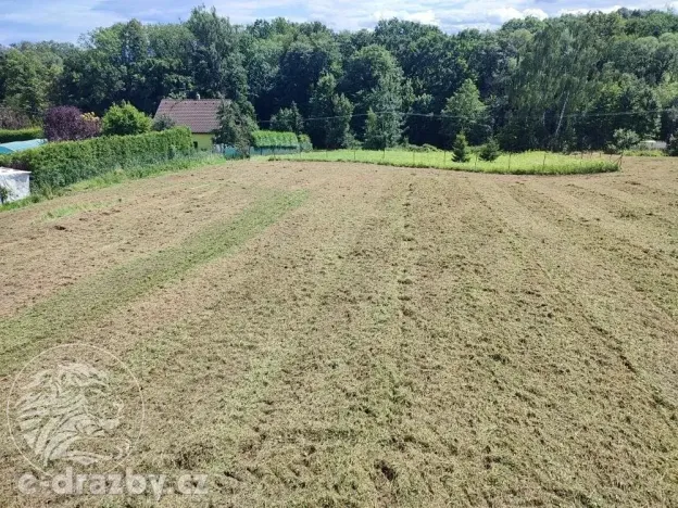 Dražba pozemku pro bydlení, Bruzovice, 11054 m2
