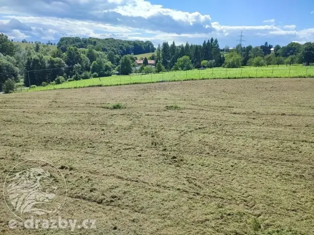 Dražba pozemku pro bydlení, Bruzovice, 11054 m2