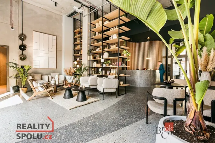 Pronájem bytu 1+kk, Brno - Zábrdovice, Bratislavská, 24 m2