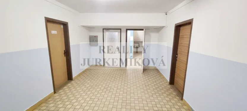 Pronájem bytu 3+1, České Budějovice - České Budějovice 2, Netolická, 67 m2