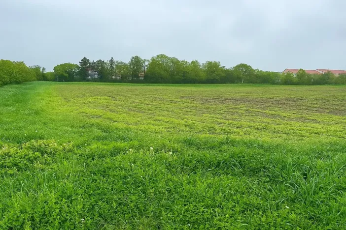 Prodej pozemku pro bydlení, Louka, 1525 m2