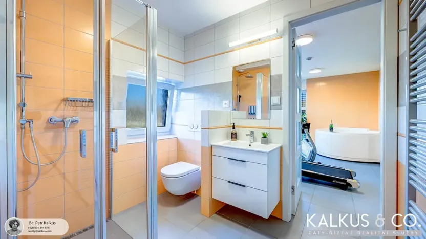 Prodej rodinného domu, Blešno, 214 m2