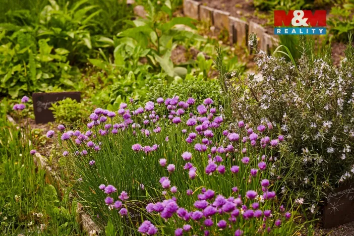 Prodej chalupy, Volfartice, 179 m2