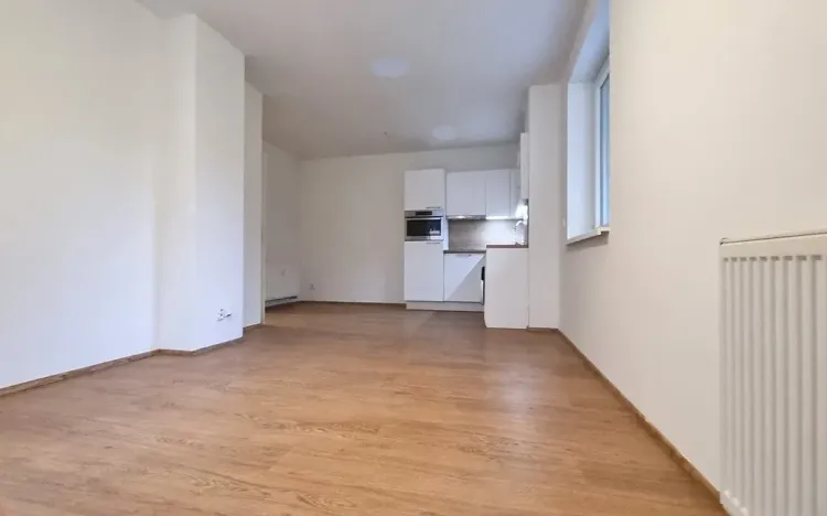 Pronájem bytu 1+kk, Brno, Husovická, 31 m2