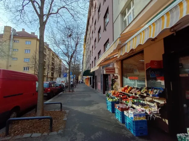 Pronájem bytu 2+kk, Praha - Žižkov, Biskupcova, 45 m2