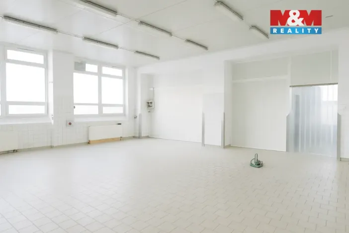 Pronájem skladu, Nymburk, Jičínská, 249 m2