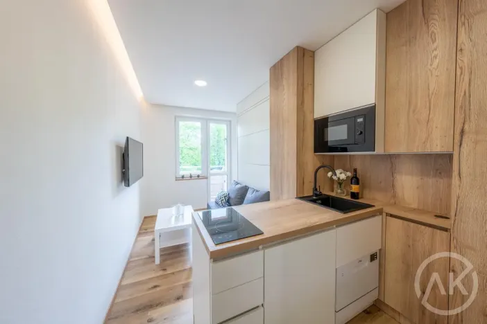 Pronájem bytu 1+kk, Opava - Předměstí, Haškova, 17 m2