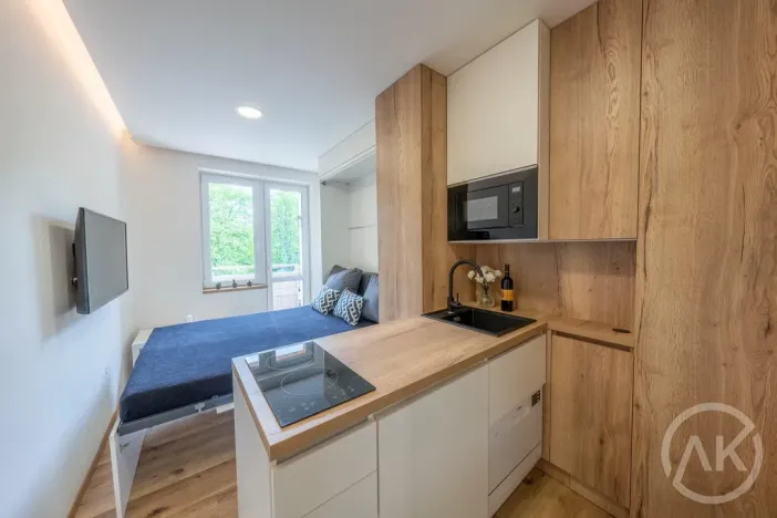 Pronájem bytu 1+kk, Opava - Předměstí, Haškova, 17 m2