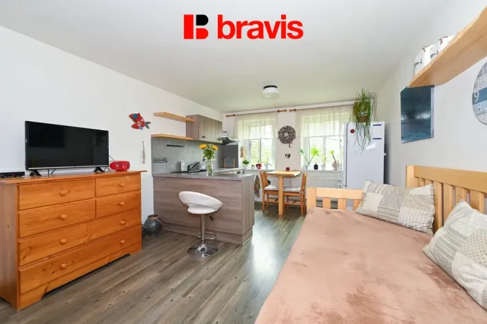 Prodej chalupy, Staré Město - Nová Seninka, 402 m2