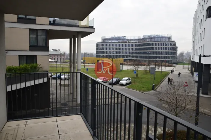 Pronájem kanceláře, Ostrava, F. X. Riepla, 59 m2