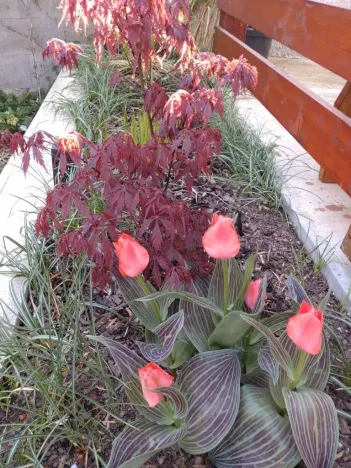 Prodej bytu 2+1, Kamenický Šenov, Palackého, 75 m2