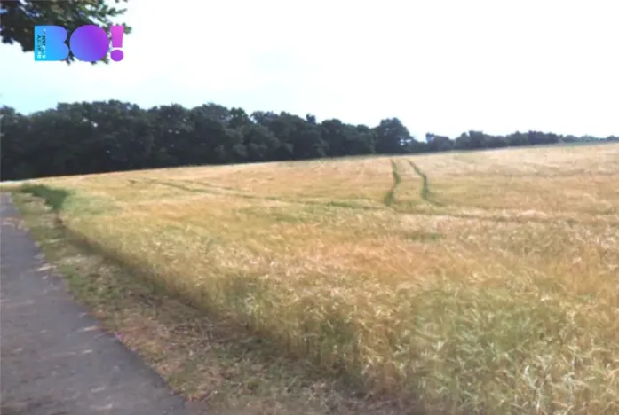 Prodej louky, Kokořín, 3754 m2