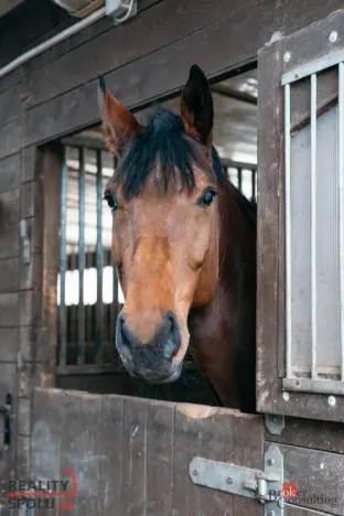 Prodej - jiné, Nučice, 2093 m2