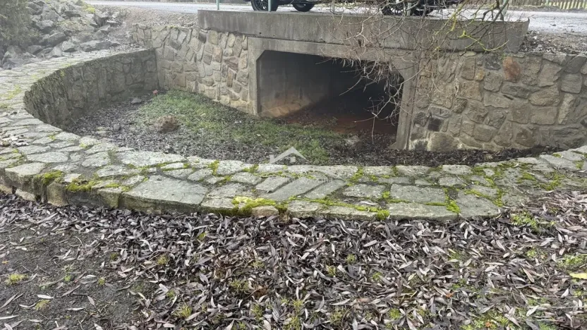 Prodej rybníku, Častrov, Častrov, 48638 m2