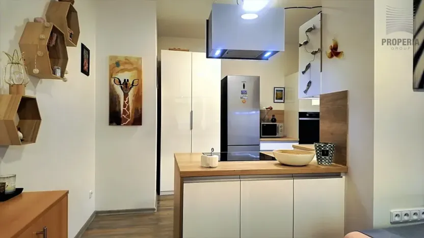 Prodej bytu 1+kk, Hustopeče, Mrštíkova, 50 m2