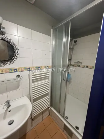 Pronájem bytu 1+1, České Budějovice - České Budějovice 1, Krajinská, 41 m2