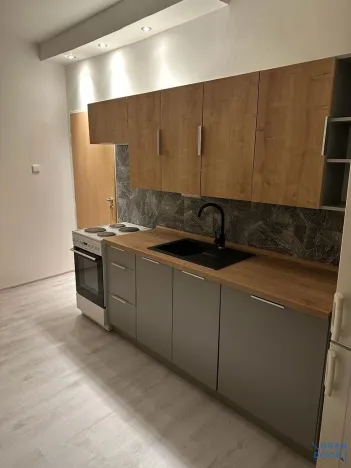 Pronájem bytu 1+1, Habartov, Gagarinova, 36 m2