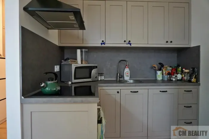 Pronájem bytu 1+kk, Olomouc - Hodolany, Holická, 42 m2