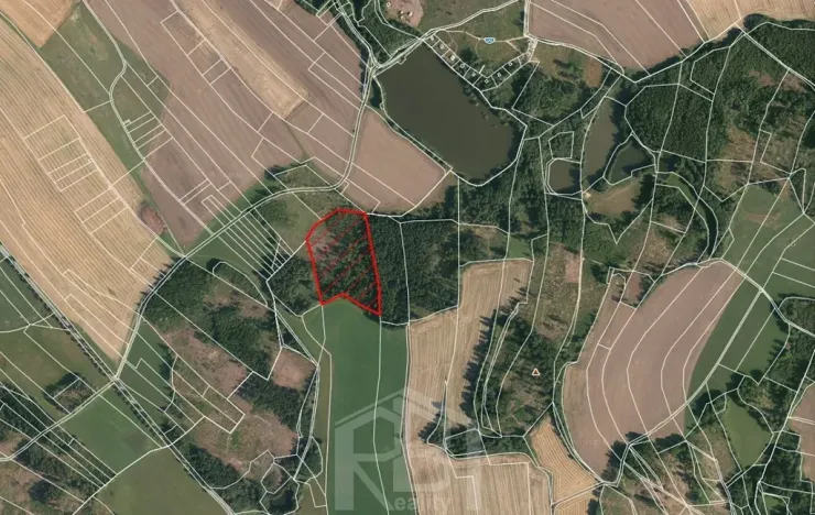 Prodej lesa, Bořetín, 31787 m2