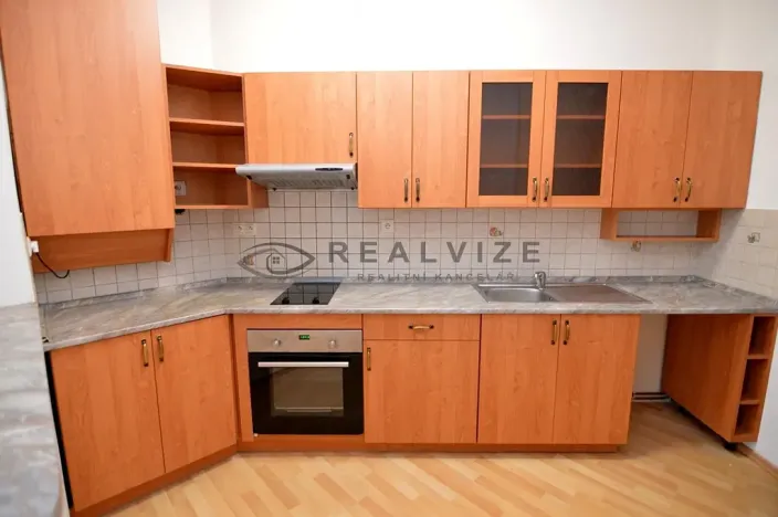 Pronájem bytu 1+kk, České Budějovice, K. V. Raise, 52 m2