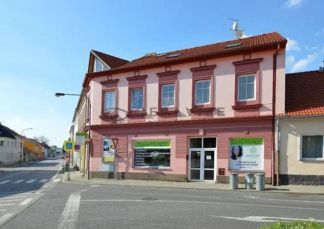 Pronájem bytu 1+kk, České Budějovice, K. V. Raise, 52 m2