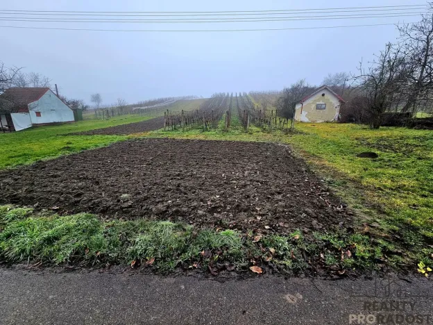 Prodej pozemku pro bydlení, Čejč, 1561 m2