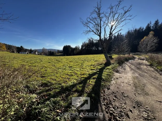 Prodej pole, Lučany nad Nisou, 2462 m2