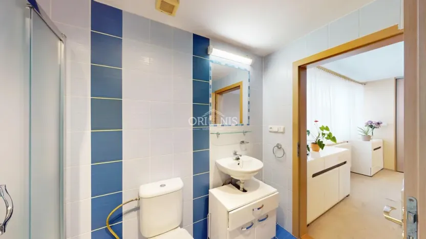 Prodej vícegeneračního domu, Chomutov, Václavská, 156 m2