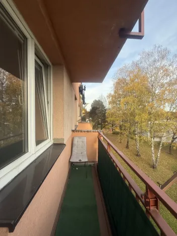 Pronájem bytu 1+1, Orlová, Lesní, 38 m2