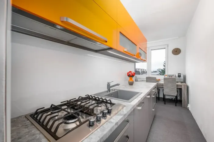 Prodej bytu 2+1, České Budějovice - České Budějovice 3, U Trojice, 63 m2