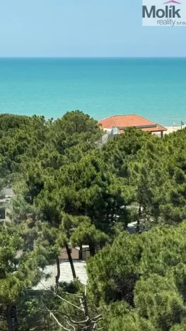 Prodej ubytování, Golem, 3371 m2