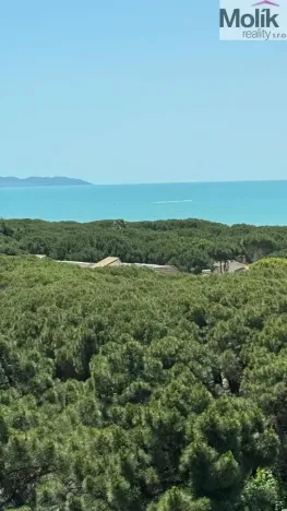 Prodej ubytování, Golem, 3371 m2