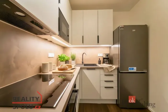 Pronájem bytu 2+kk, Praha - Žižkov, Roháčova, 56 m2