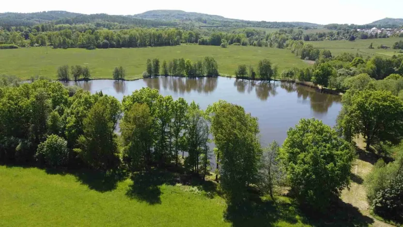 Prodej pole, Šluknov, 1989 m2