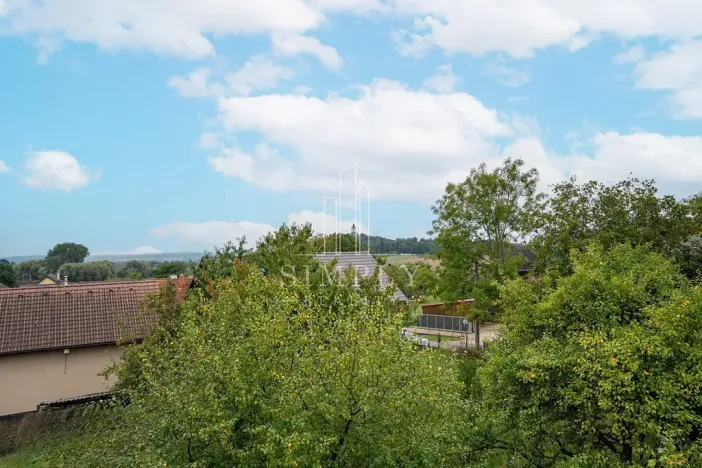 Prodej vícegeneračního domu, Sobotka, 620 m2