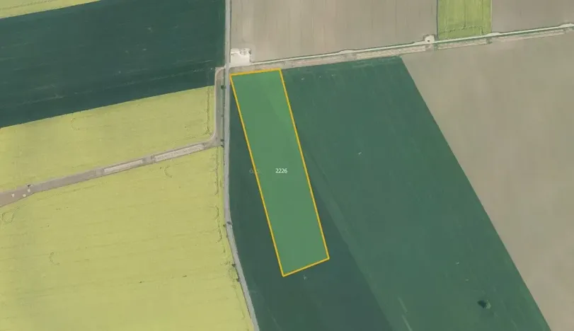 Prodej pole, Mořice, 16894 m2