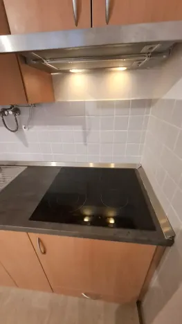 Pronájem bytu 1+kk, Praha - Braník, Pod vinohradem, 27 m2