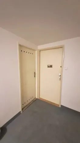 Pronájem bytu 1+kk, Praha - Braník, Pod vinohradem, 27 m2